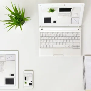 Minimalist workspace with greenery