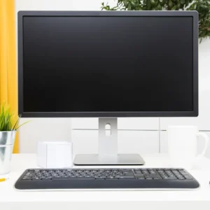 Workspace with keyboard, mouse, and plant